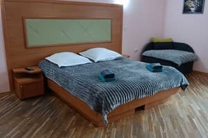 Отель Вилла На Горной. Апартаменты 6-местный  15