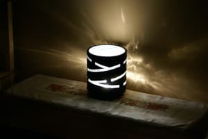 Гостинично-ресторанный комплекс Вівчарик. Стандарт трехместный  2