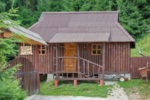 Водограй Карпат 9