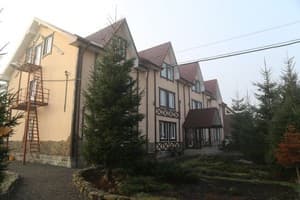 Ворохта 365 1