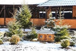 Ворохта 365 4