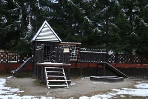 Ворохта 365 6