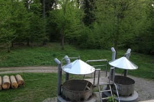 Ворота Карпат 4