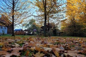 Ворота Карпат 3