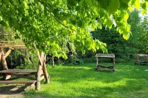 Ворота Карпат 8