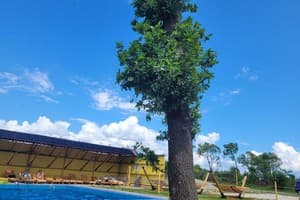 Ворота Карпат 25