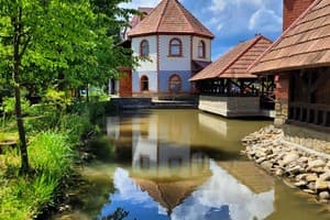 Ворота Карпат 36