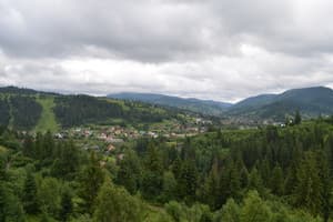 Возле Леса 5