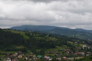 Возле Леса 4