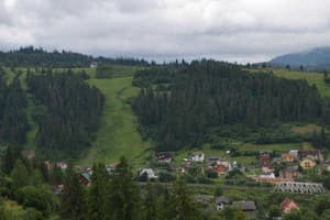 Возле Леса 6