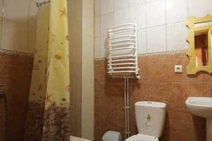 Частная усадьба Возле Леса. Апартаменты 8-местный  с тремя спальнями и гостиной (2 этаж) (6+2) 9