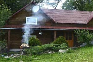 Возле потичка 3