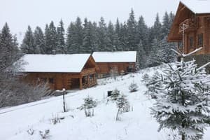 Возле потичка 2