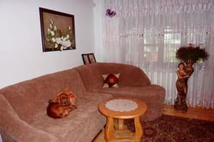 Возле реки 21