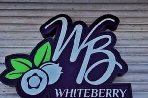 Whiteberry 29