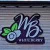 Whiteberry 31-32/41