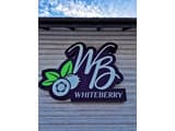 Whiteberry 29
