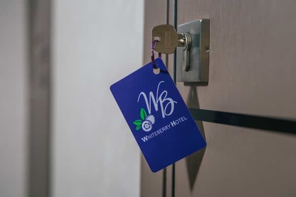 Whiteberry Studio 6