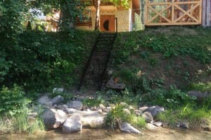 Яблуневий Цвіт 6