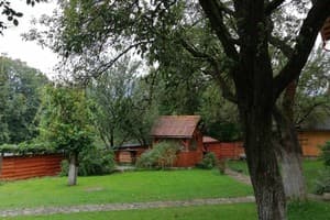 Яблуневий сад 4