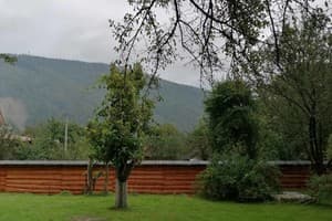 Яблуневий сад 6