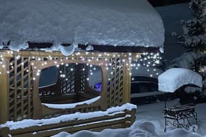 Яблуницька троянда 6