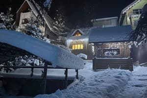 Коттедж Яблуницька троянда