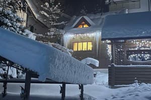 Яблуницька троянда 7