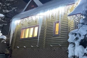 Яблуницька троянда 8