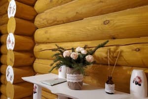 Яблуницька троянда 19