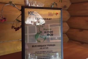 Яблуницька троянда 21