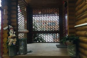 Яблуницька троянда 23