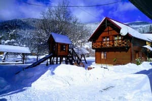 Ясень 1