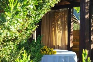 Захарова оселя 4