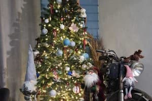 Захарова оселя 43