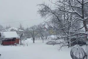 Затишний дім 6