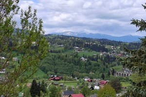 Затишок в Карпатах 11