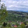 Затишок в карпатах 5-6/19
