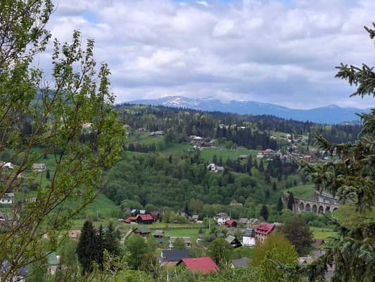 Затишок в карпатах 11