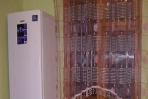 Зелена косиця 10