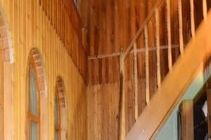 Зелена косиця 2