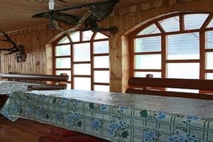 Зелена косиця 3