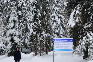 Зеленый бор 2