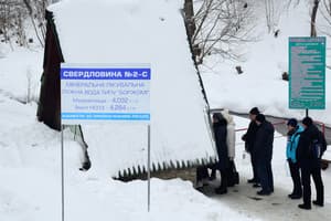 Зеленый бор 3