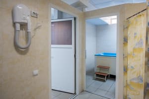 Зеленый бор 7