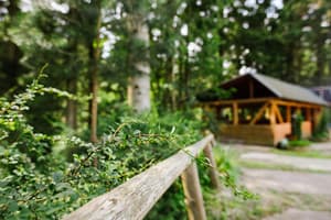 Зеленый бор 15