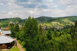 Зеленый бор 12