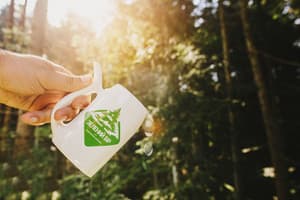 Зеленый бор 13