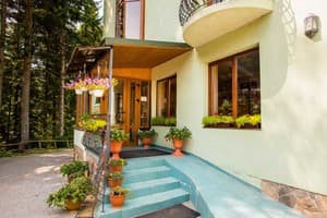 Зеленый бор 16