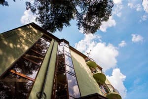 Зеленый бор 12